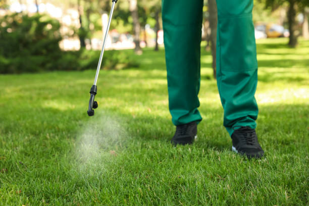 Best Wasp Removal Services  in West Glendive, MT