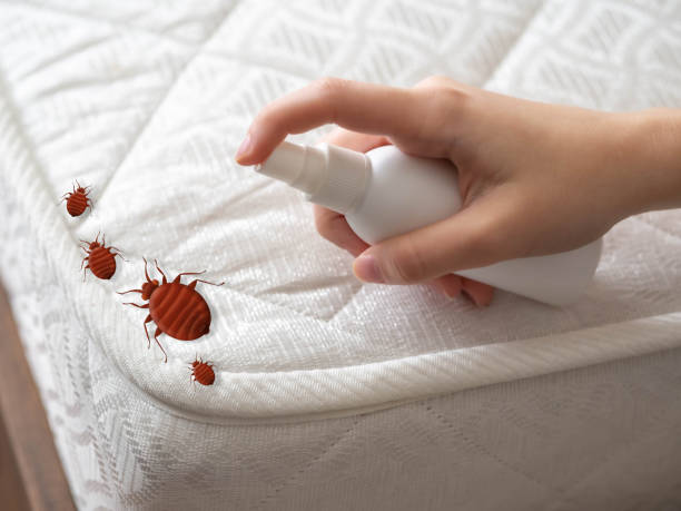 Best Mosquito Control Services  in West Glendive, MT