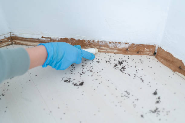 Best Pest Prevention Services  in West Glendive, MT
